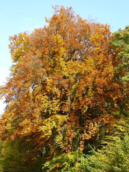 20131120163630-ec5607fd.jpg